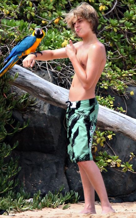 dylan-cole-sprouse-shirtless-hawaii-parrot.jpg